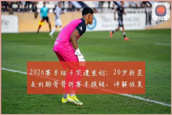 2026赛季纽卡突遭重创：20岁新星麦利腓骨骨折赛季报销，详解恢复时间、对球队影响及潜在替代者